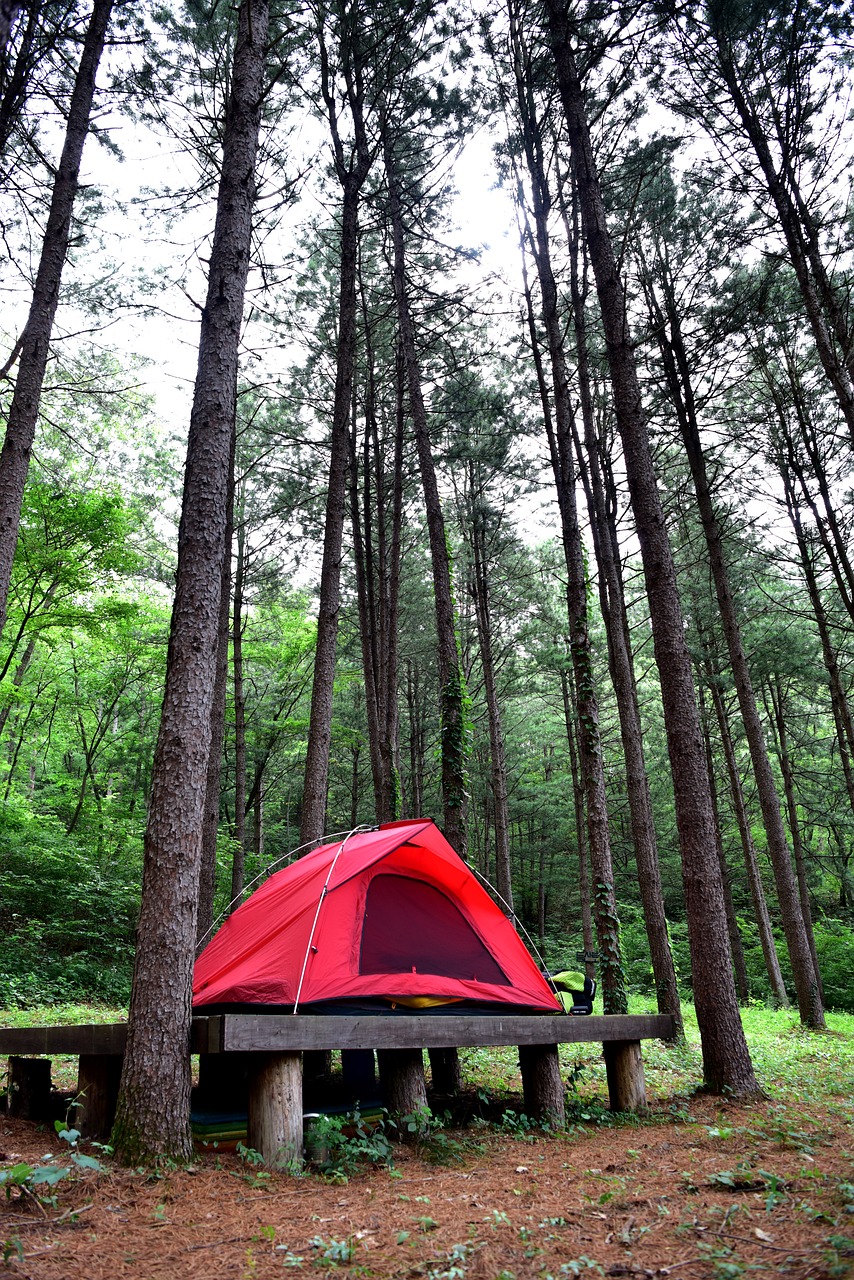découvrez nos holiday camps : des séjours inoubliables pour enfants et adolescents, mêlant activités ludiques, sportives et ateliers créatifs dans un environnement sécurisé. réservez dès maintenant pour des vacances pleines d'aventures et de nouvelles amitiés.