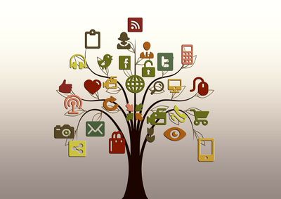 Quelles charges sociales peut-on légalement optimiser en tant qu’entrepreneur ?