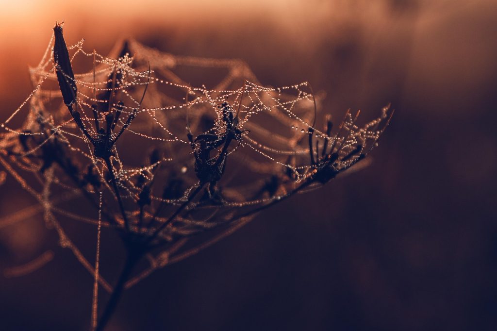 trouvez facilement la meilleure agence web adaptée à vos besoins. comparez les services, les réalisations et les avis pour réussir votre projet digital.